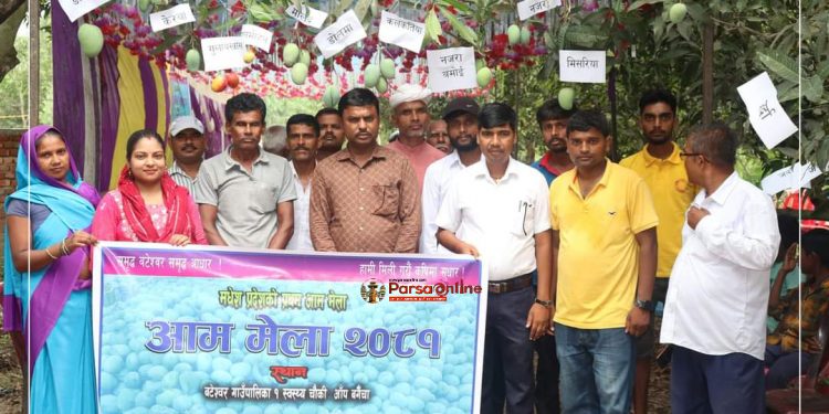 धनुषामा आँप मेला, चाहे जति निःशुल्क आँप खान पाइने