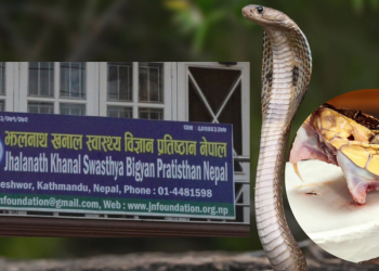 झलनाथ प्रतिष्ठानको सर्प पालन भ्रष्टाचारमा मधेशका पूर्वमन्त्री विजय यादवलाई ९ वर्ष कैद, अरू कसलाई के सजाय ?