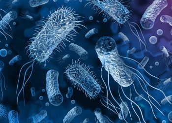 उपत्यकामा हैजा संक्रमण तीव्र, ४८ घण्टामा भेटिए थप ९ संक्रमित