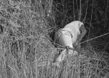 वडाध्यक्ष मुकेश यादवको हत्यामा संलग्न रहेको आरोपमा महोत्तरी प्रहरीले दुई जनालाई पक्राउ गरेका छन्  ।