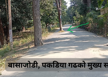 मुख्य सडकमा सखुवाको रुख सडक विभाग निद्रामा