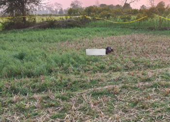 धनुषामा १९ वर्षीय सुमित मण्डलको घाँटी रेटेर हत्या, खेतमा शव फेला ।