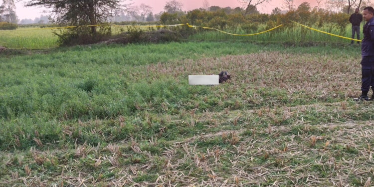 धनुषामा १९ वर्षीय सुमित मण्डलको घाँटी रेटेर हत्या, खेतमा शव फेला ।