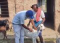 सुखिपुर नगरपालिकाका सबै वडाहरुमा पिपिआर खोप कार्यक्रम सञ्चालन हुदै ।