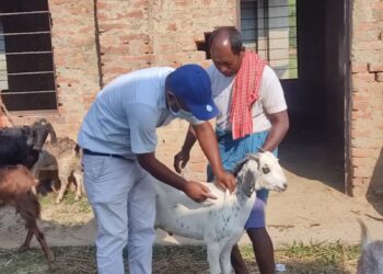 सुखिपुर नगरपालिकाका  सबै  वडाहरुमा पिपिआर खोप कार्यक्रम  सञ्चालन हुदै ।