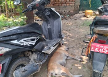 भन्सार छली गरी ल्याइँदै गरेको ५५ हजारभन्दा बढी मूल्यका सामान सुखीपुरमा बरामद ।